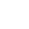 Python Icon